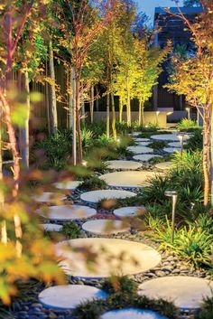 an outdoor garden with stepping stones and trees in the foreground, lit up by lights