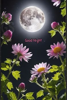 the full moon is shining brightly in the night sky with pink flowers and green leaves