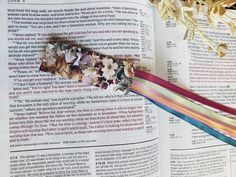 an open book with a ribbon on top of it next to some flowers and leaves