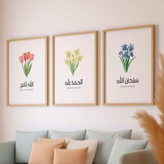 three framed flowers are hanging on the wall above a couch in a living room with blue and pink pillows