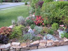 a garden filled with lots of different types of flowers