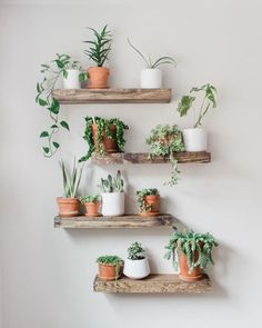 three wooden shelves filled with potted plants on top of each other in front of a white wall