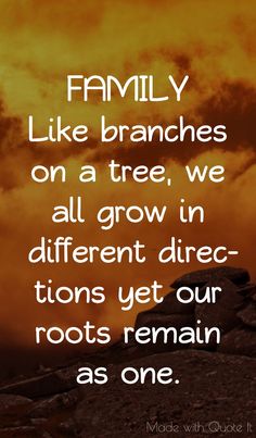 the words family like branches on a tree, we all grow in different directions yet our roots remain as one