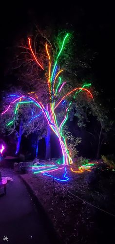 an illuminated tree in the middle of a park at night with colorful lights on it