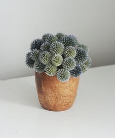 a small potted plant sitting on top of a white table