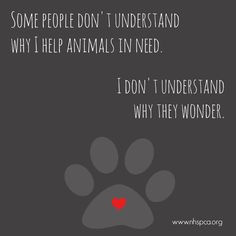 some people don't understand why they help animals in need i don't understand why they wonder