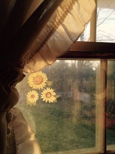 the sunflowers are sitting on the window sill in front of the curtains