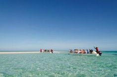 people are standing in shallow water on the beach