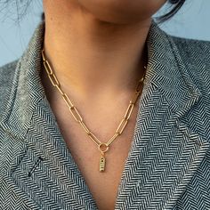 Explorer Charm Necklace Ear Party, Chill Pill, Gold Charm Necklace, Timeless Jewelry, Jewelry Inspo, Stainless Steel Necklace, Dainty Necklace, Modern Jewelry, Long Necklace