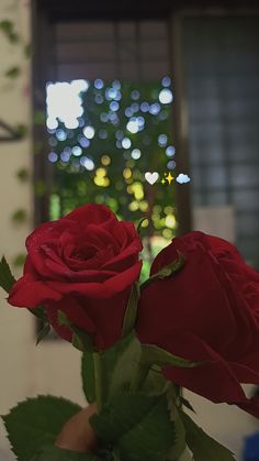 two red roses are in a vase with water on the window sill behind them