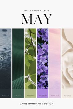 an image of the cover of a book called may