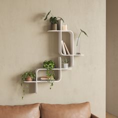 a living room with a couch and shelves filled with potted plants on the wall