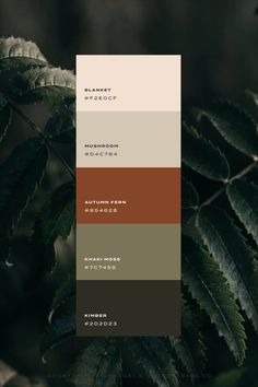 Autumnal, Natural and Warm Colour Palette for Your Brand and Squarespace Website Green Terracotta Black Color Palettes, Down To Earth Color Palette, Nature Color Pallets, Color Pallets Earth Tones, Neutral Masculine Color Palette, Earthy Moody Color Palette, Nature Wedding Colors Palette, Natural Brand Color Palette, Eco Colour Palette