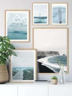 a white shelf topped with pictures and a potted plant