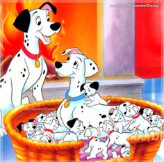 the 101 dalmatian puppies are playing with each other in an orange bowl