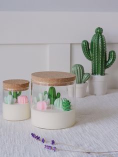 two jars with plants inside sitting on a table next to cacti and succulents