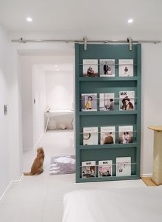 a cat sitting on the floor in front of a book shelf with pictures and photos