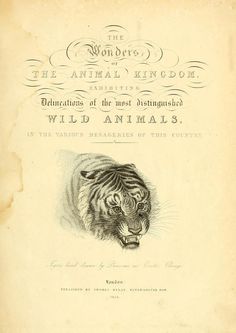 an old book with a drawing of a tiger on it's front cover and title page