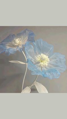 two blue and white flowers in a vase