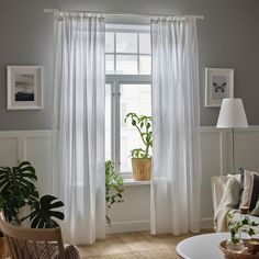 a living room filled with furniture and a window covered in white sheer curtaines next to a potted plant