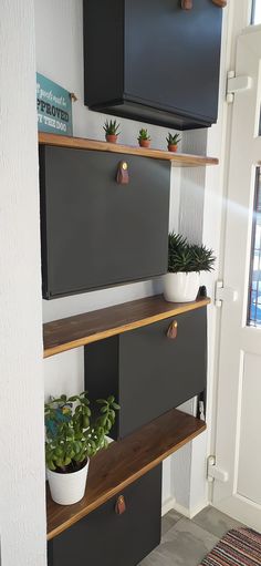 some plants are sitting on shelves in a room