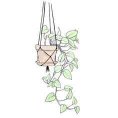 a potted plant hanging from a wire with some green leaves on the top and bottom