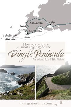 In this ultimate one day Dingle Peninsula itinerary, we share how you can explore all the highlights of Dingle Peninsula in just one day! Visit the famous Dunmore Head (from Star Wars), walk down Dunquin Pier and spot dolphins and whales on an epic sea safari to the Blasket Islands! Dunquin Pier, Irish Vacation, Moving To Ireland, Dingle Peninsula, Europe 2024, Travel Wishes