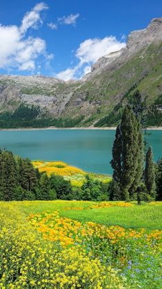 the mountains are covered in flowers and trees near a large body of water with blue skies above