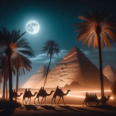 three camels are walking in front of the pyramids at night with a full moon behind them