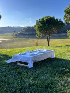 a table set up in the middle of a field with trees and water behind it