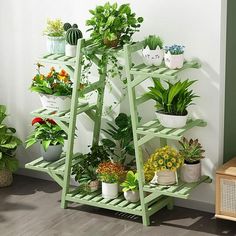 a green shelf filled with potted plants on top of a hard wood floor next to a white wall