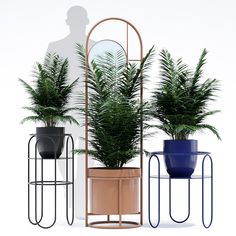 three potted plants in different colors and sizes on metal stands with a mirror behind them