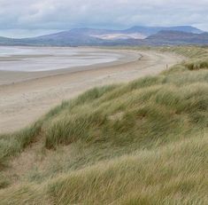 an empty beach with grass growing on the sand and hills in the distance behind it