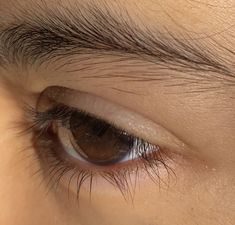 the eye of a person with long lashes and brown eyeshade, close up