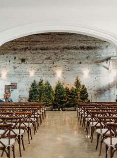 rows of wooden chairs are lined up in front of a brick wall and decorated with christmas trees