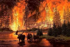 the fire is burning in the forest and people are riding horses