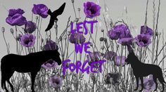 two horses standing next to each other in front of purple flowers with the words, let we forget