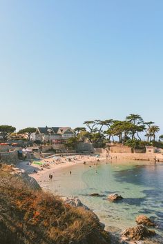 people are on the beach and in the water near some houses with trees around them