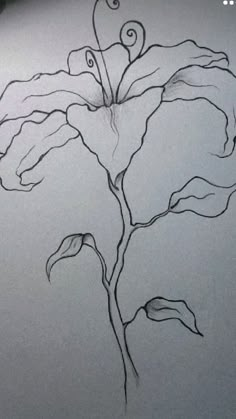 a drawing of a flower on a piece of paper