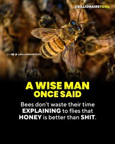 some bees are in the middle of a bunch of honeybees and one is saying,