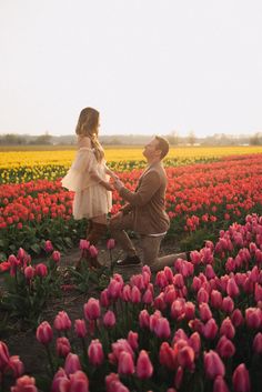 a man kneeling down next to a woman in a field full of tulips