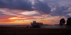 a tractor is driving in the middle of a wheat field at sunset with clouds above it