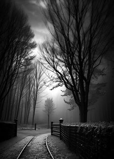 a black and white photo of a train track in the woods with trees on either side