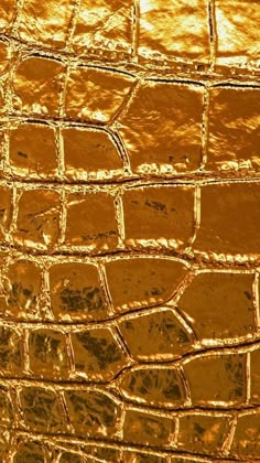 the texture of an alligator skin is gold