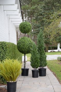 three potted plants sitting on top of a brick walkway next to a white building