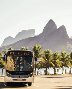 a bus is driving down the road near some palm trees and mountain in the background