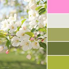 the color palette is green, pink, and white with some flowers on each side