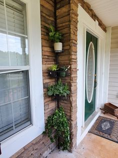 some plants are growing on the corner of a house's front door and window