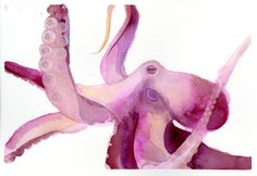 an octopus is painted in watercolor on white paper with the words, i am not sure what this image is