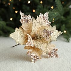 a close up of a flower on the ground near a christmas tree with lights in the background